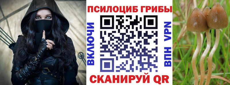 Псилоцибиновые грибы ЛСД  shop наркотические препараты  Будённовск 