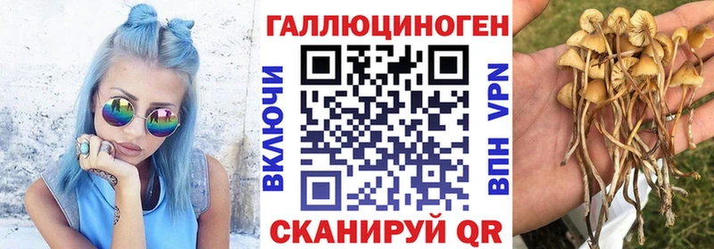 Псилоцибиновые грибы ЛСД Будённовск
